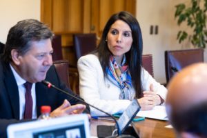 Senadora Gatica acusó rebaja del Gobierno en subsidios de mejoramiento de las viviendas