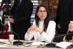 Senadora Gatica pide descentralizar decisiones de Consejo de Monumentos Nacionales para destrabar obras en Los Ríos