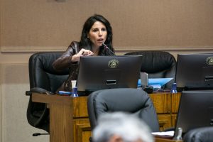 Senadora Gatica: “El Seremi de Vivienda en Los Ríos no está dando el ancho”