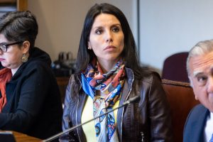Senadora Gatica llama a avanzar en ley que restringe beneficio de irreprochable conducta anterior a extranjeros que delinquen en Chile
